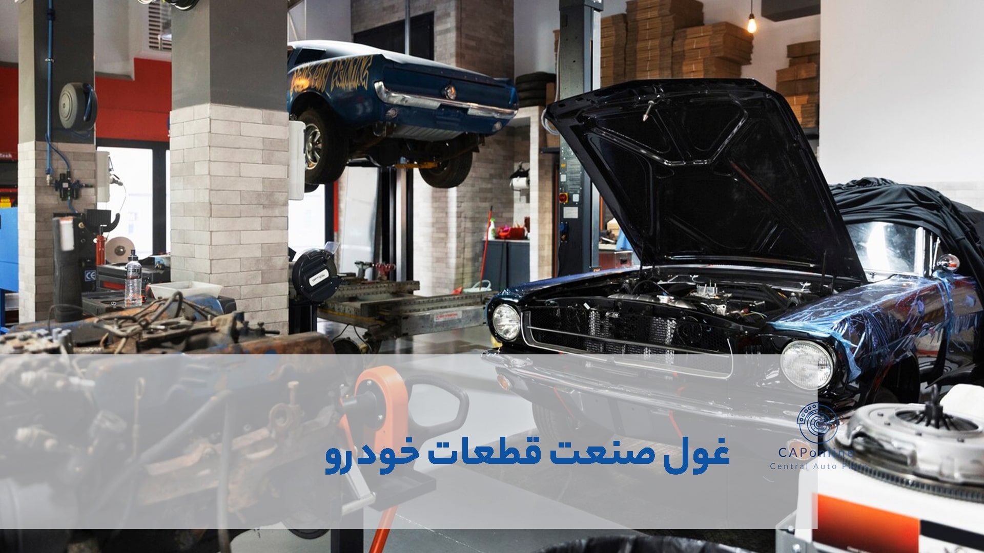 برند ولئو